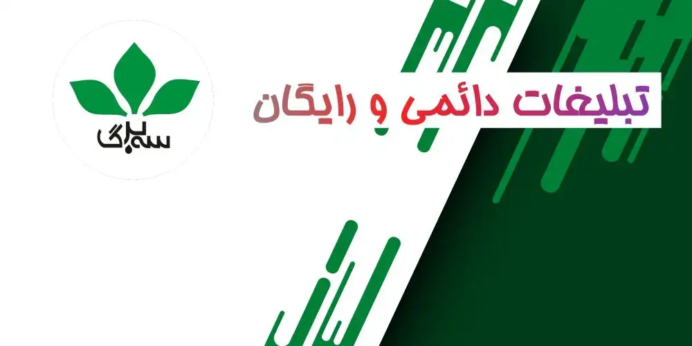 ساخت وب سایت